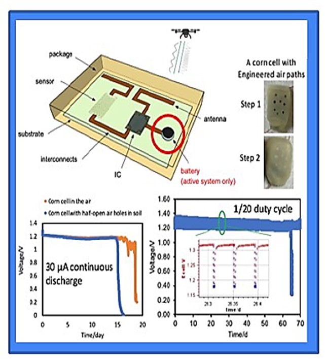 Graphic depiction of the air battery and corn cell test systems for monitoring soil conditions. 