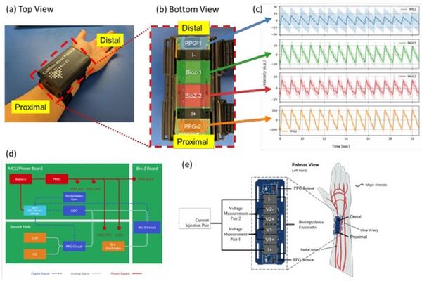 Figure 1. Design of multi-modal wearable system. (a) Top view of the device’s industrial design on the wrist; (b) Bottom view of the device — includes 2 sets of PPG sensors, 1 set of current injection pair, and 2 sets of the voltage measuring pair; (c) Two PPG signals and two bioimpedance signals collected from a subject sitting stationary; (d) Block diagram of the multi-modal wearable system; (e) Target placement of the device on top of the radial artery; (f) Leg press testbed to vary blood pressure. 