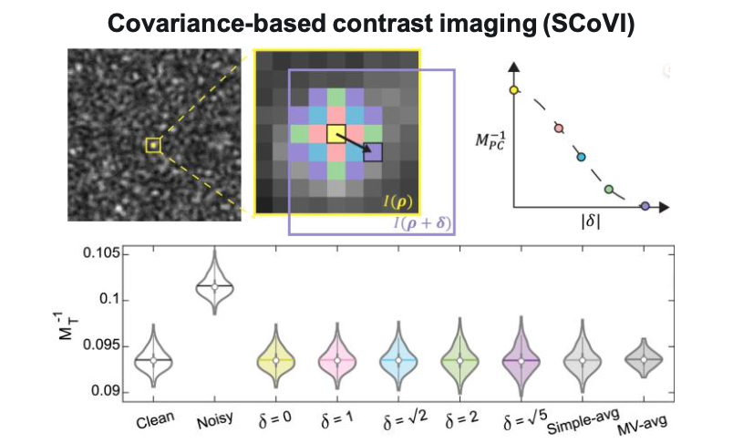 Figure 1: In NSF CELL-MET ERC’s SCoVI method, laser speckle covariance image measurements are plotted across different length scales to achieve greater precision.