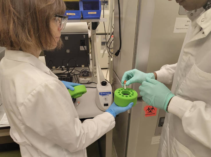 Bootcamp participants ensuring the health of the T cells before moving on to passage, expand, and cryopreserve MSCs 