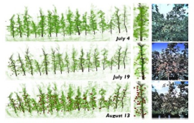 Figure 2. 4D metric semantic mapping of an apple orchard over time. Each brown sphere indicates a fruit’s position and size. 