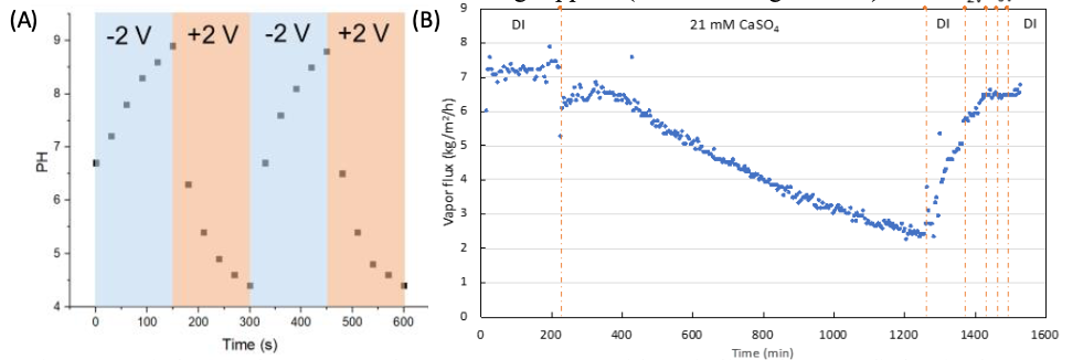 Figure 2: (A) The pH changes near the PDMAEA-CNTs with periodic voltage applied. (B) The water vapor flux of PDMAEA-PTFE modified molecular dynamics (MD) system. 