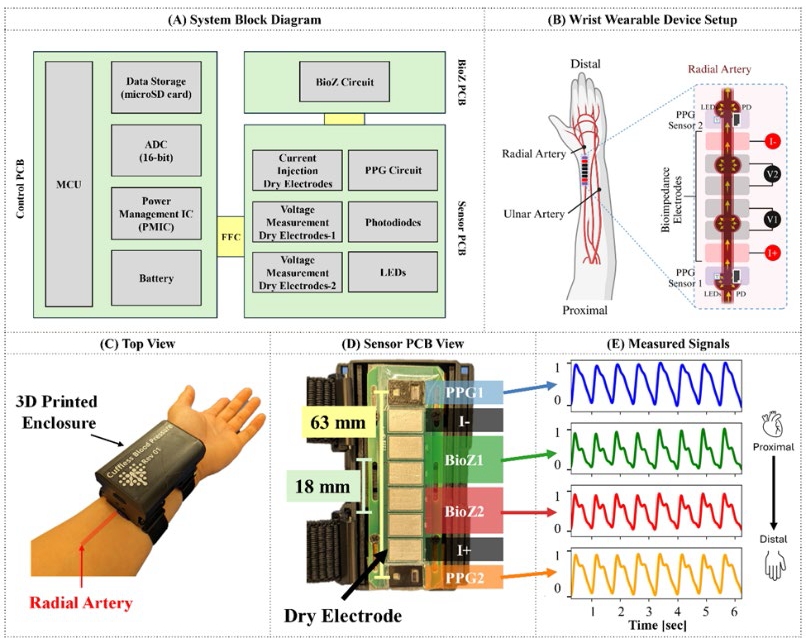 Figure 2. Sensor system architecture and hardware design for wearable application on the wrist to measure pulsatile waveforms. (A) System block diagram showing the 3 separate PCB designs. (B) Illustration of the sensor interface on the radial artery of the wrist to capture pulse propagation (Created with BioRender.com). (C) A top-view image showing the wearable device on the wrist with the 3D printed enclosure. (D) A bottom- view image showing the 63 mm separation from PPG1 to PPG2 and 18 mm separation from