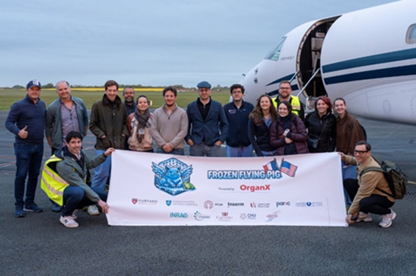 The international research consortium—including members from Mass General Brigham (MGH/ATP-Bio), the Paris Institute of Transplantation and Organ Regeneration (PITOR), IRMETIST (University of Poitiers), and PIXANIM (INRAE)—gathered on the tarmac alongside the private flight utilized for the unprecedented transatlantic transport of cryopreserved porcine kidneys. 