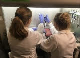 Dr. Verena Charwat (left) and Dr. Berenice Charrez (right) perfusing cardiac microtissues with preservation solution prior to supercooling.