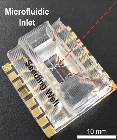 Photograph of a completed heart-on-a-chip platform.