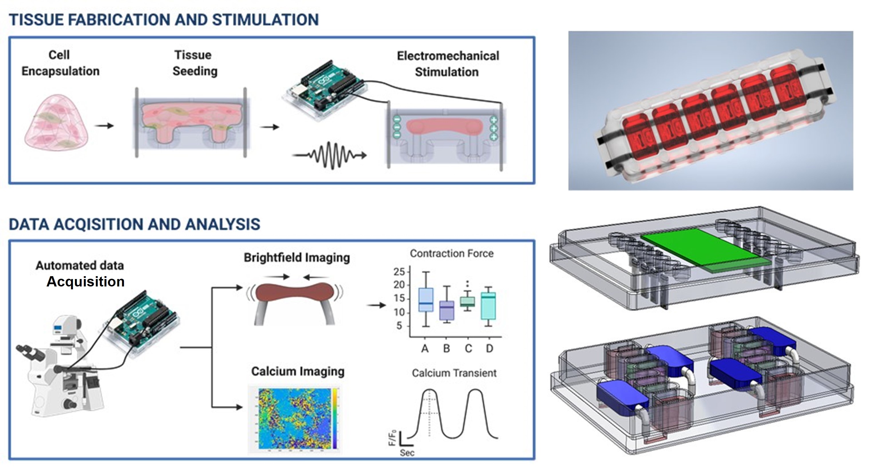 Renderings of key elements of the CELL-MET platforms for research and cell production.