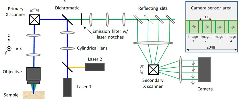 Figure 2. Line-scan Multi-Z confocal microscope. Lasers are formed into a line with a cylindrical lens. Line is scanned along X with primary scanner, Resultant fluorescence is de-scanned and then re-s