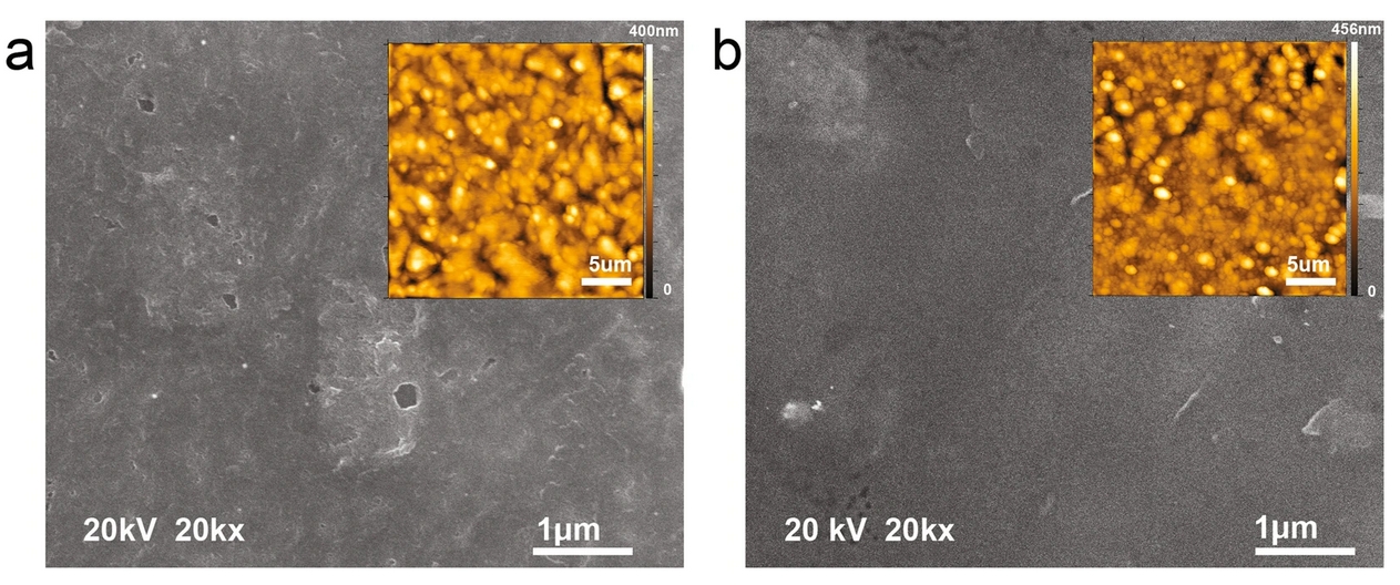 Scanning electron microscopy and atomic force microscopy image of microelectrode surface (a) before stimulation and (b) after 3.5 billion pulses of stimulation. The mean surface roughness was roughly 