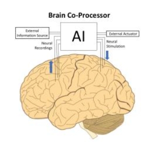 A brain co-processor for control of a prosthetic limb uses artificial intelligence algorithms, such as artificial neural networks, to combine data from touch-sensitive sensors on the prosthetic limb (