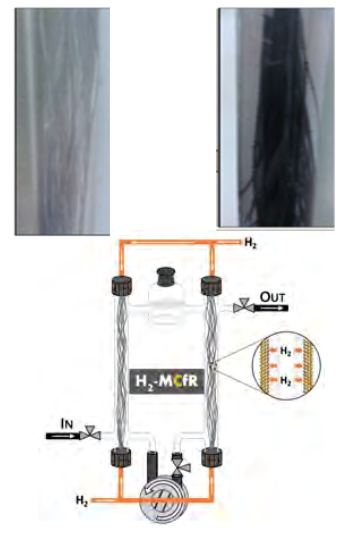 NEWT achieved de-nitrification using H2 gas-permeable 1-mm diameter fibers coated with InPd NPs in a reactor.