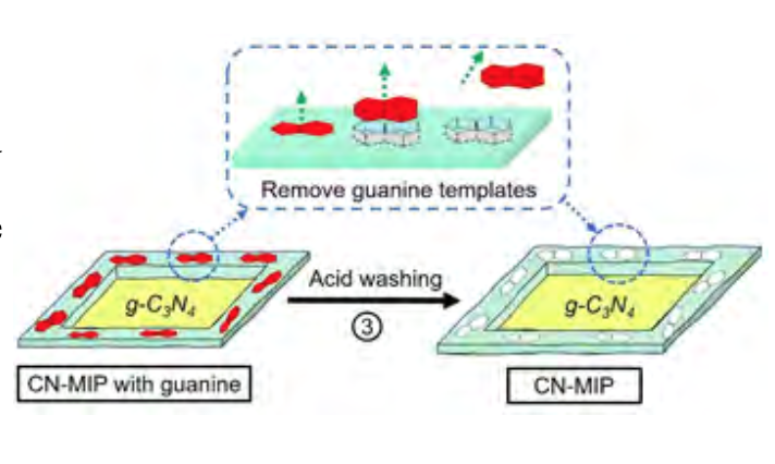 NEWT tested the use of molecular imprinted graphitic carbon nitride to improve the selective photocatalytic removal of water pollutants