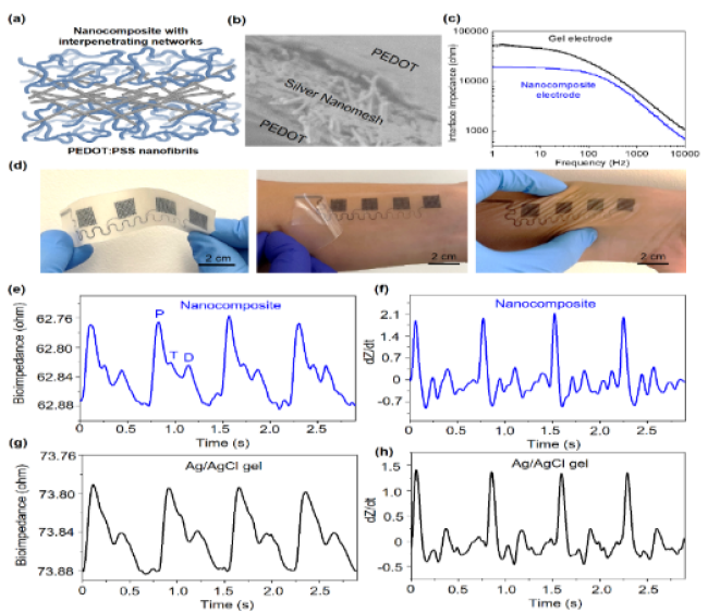 Figure. Soft, stretchable, and breathable conductive nanocomposites. (a) Schematic illustration of nanocomposite mesh electrode design. (b) SEM image of the electrode at a cross-section. (c) Interface