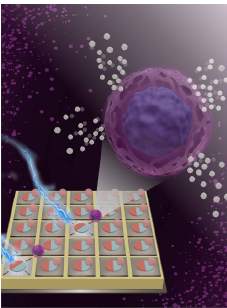 Figure 1. A depiction of cell transfer and sorting.