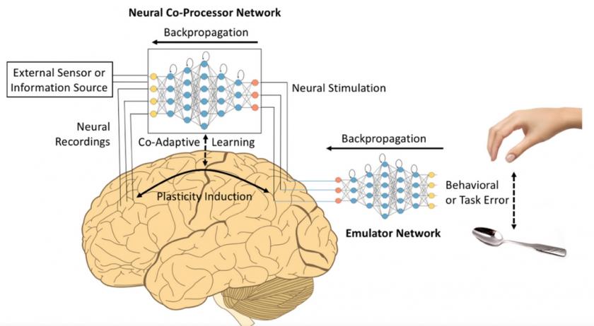 Neural co-processor for the brain 